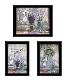 Abundance of Beauty Collection 3-Piece Vignette By Lori Deiter, Ready to Hang Framed Print, Black Frame