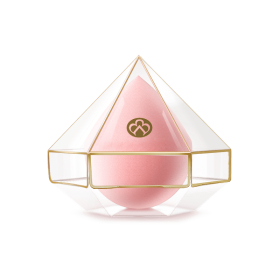 Elegant Female Mini Air Sponge Full Coverage Face Makeup Appliance Bundle (Color: Pink)